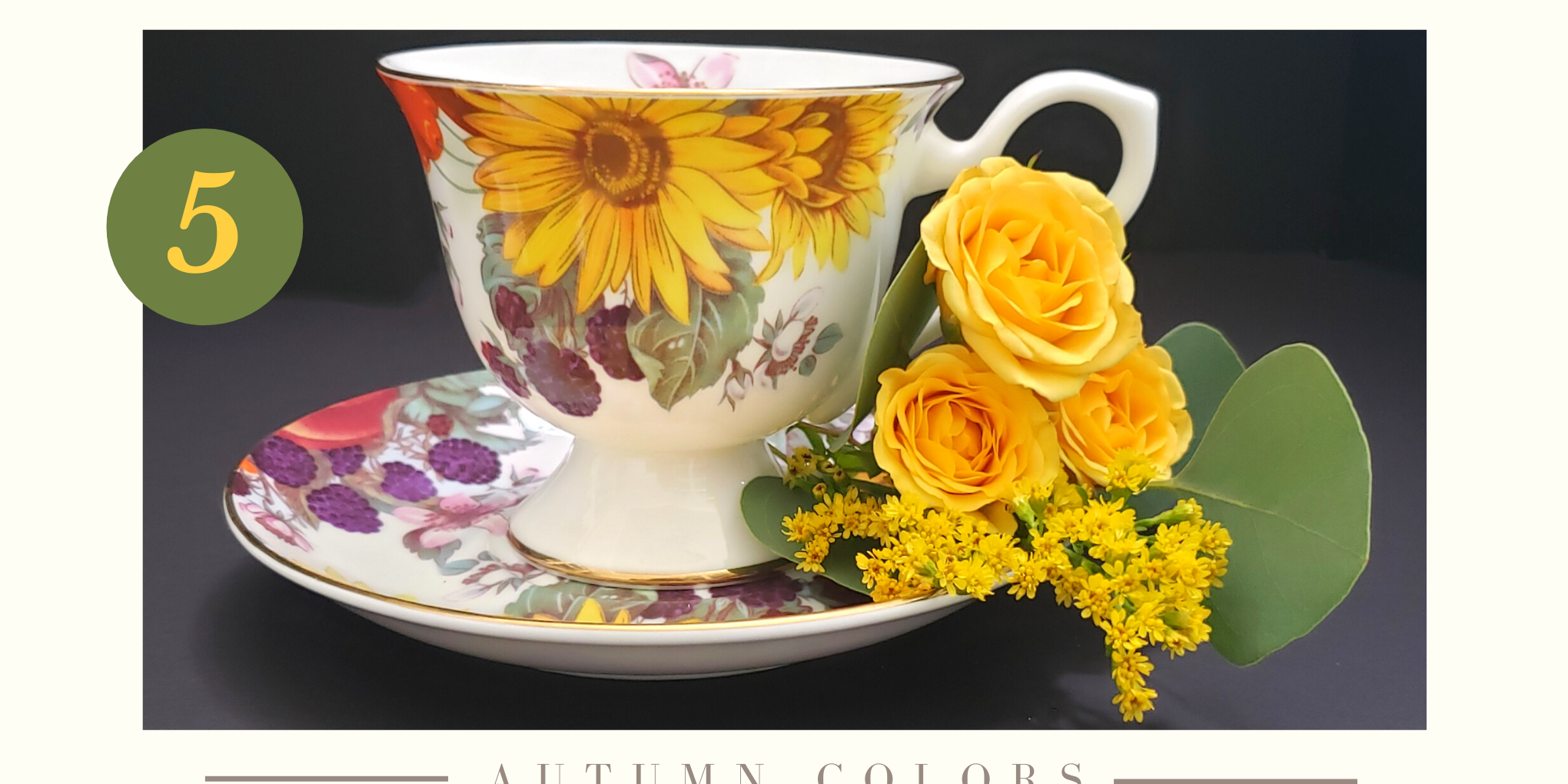 TT Week 5 Feat. photo